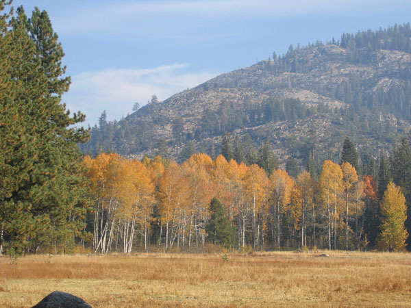 Bell Meadow in Fall