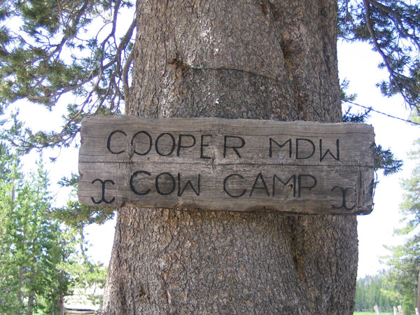 Cow Camp Sign